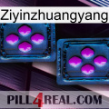 Ziyinzhuangyang 03